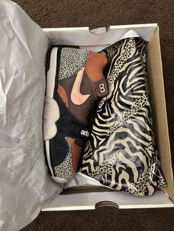 Nike SB Air Trainer Arts N Rec 