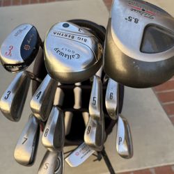 Titleist Iron Set (3-P//DCI Oversize)with Assorted Driver And Wood,odyssey Putter And Titleist Kick Stand Golf Bag 