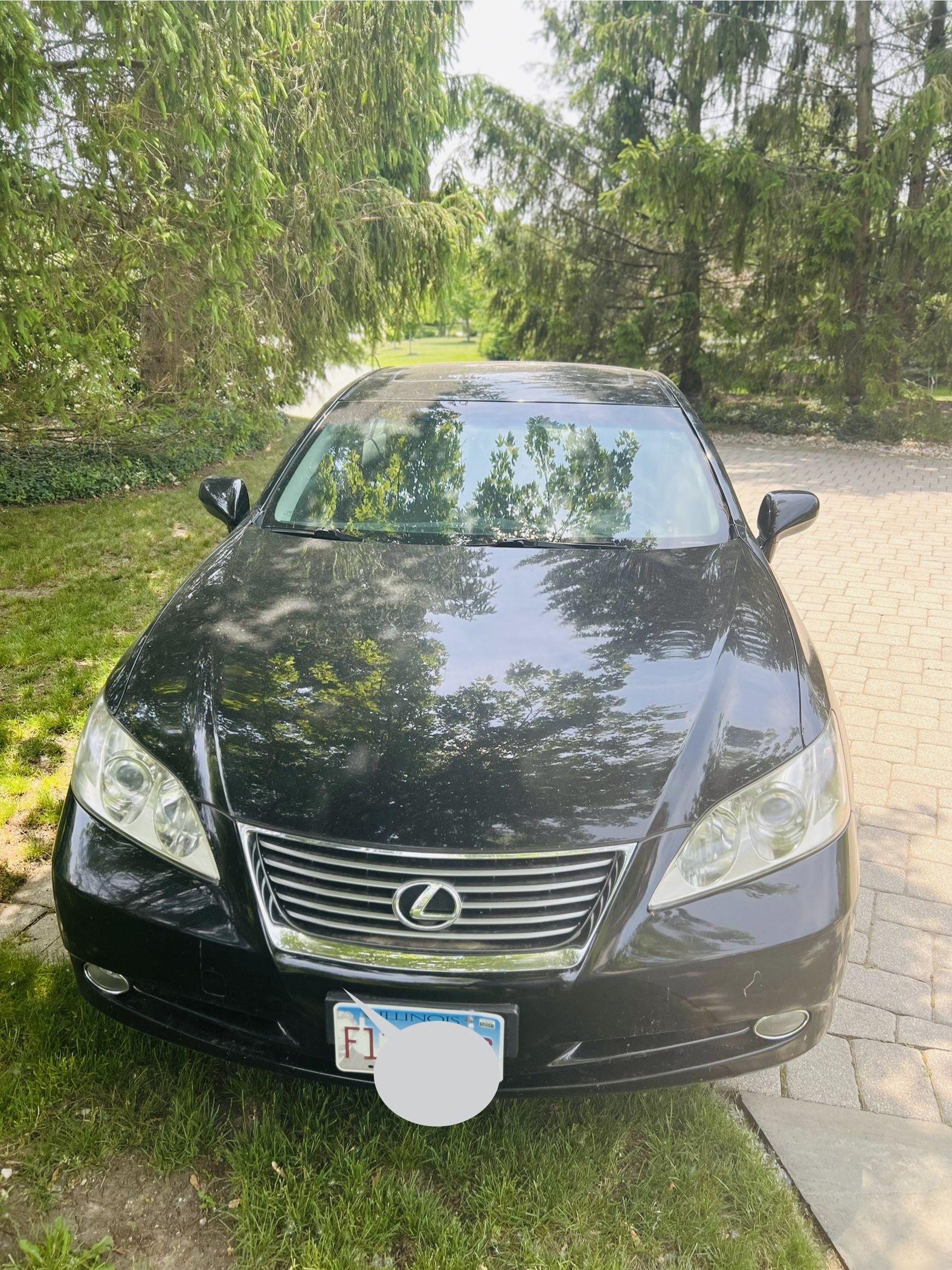 2010 Lexus ES 350