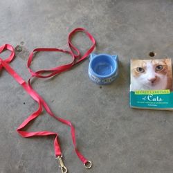 Items For A Cat
