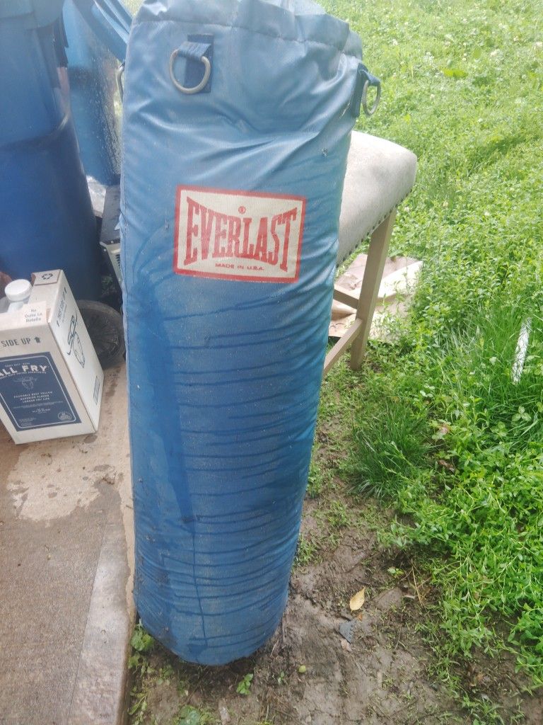 Everlast Punching Bag