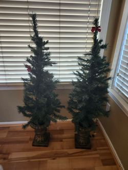 Medium Christmas trees