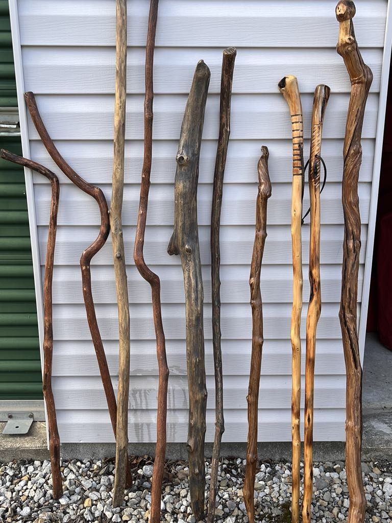 Walking Sticks / Canes
