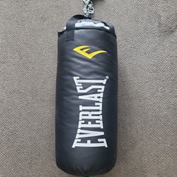 Used Everlast 40lb Punching Bag