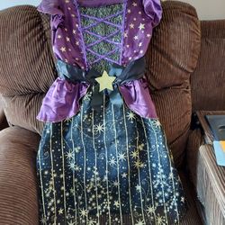 Halloween  Costume Size Large 