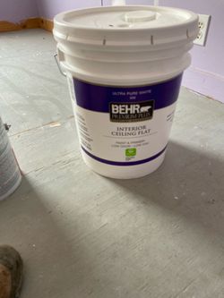 Ceiling paint