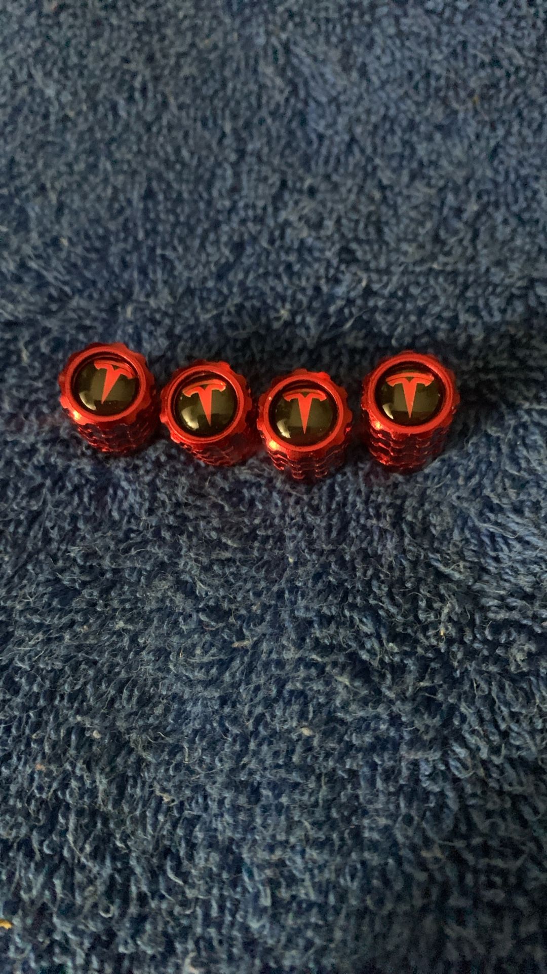 Tesler Tire Caps