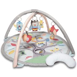 Skip Hop Activity Gym / Play Mat With 3 Steps And Tummy Time Pillow In Like New Condition