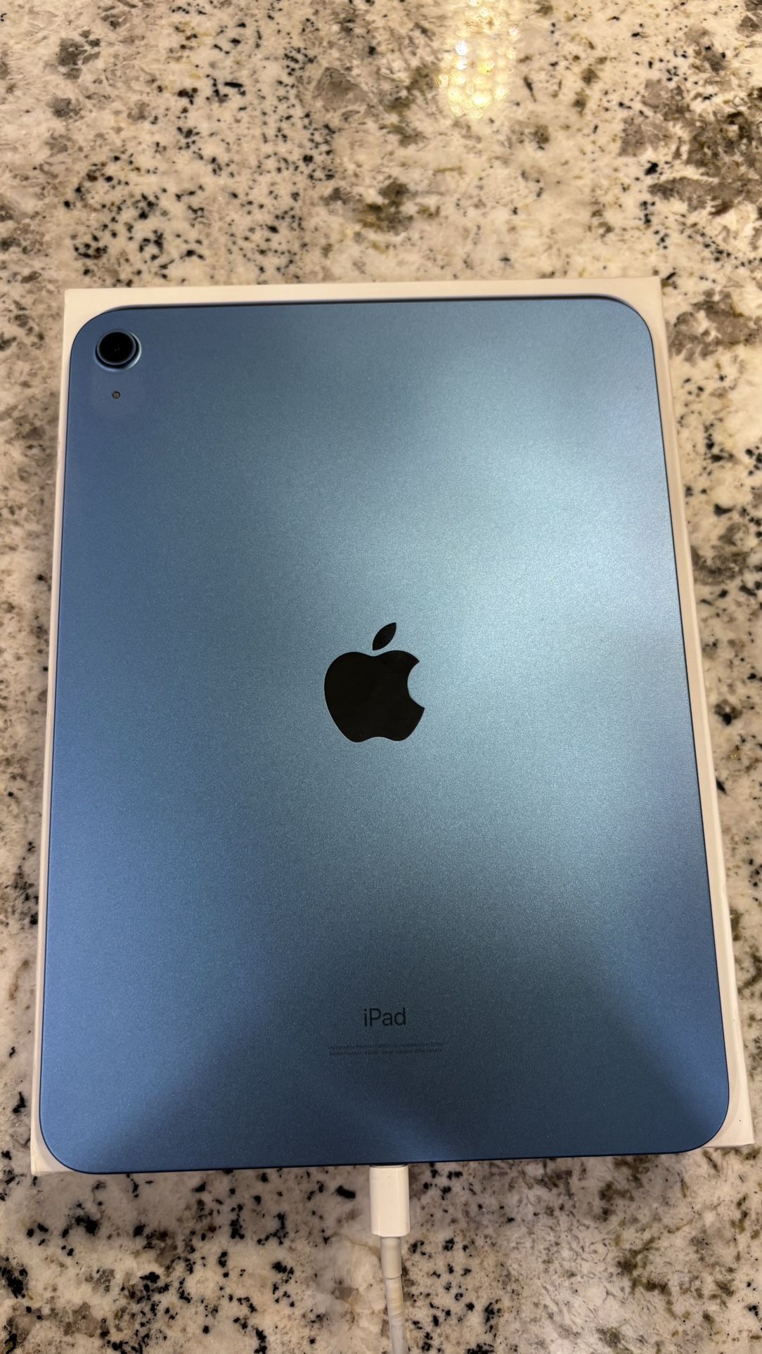 iPad 10th Generation 