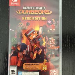 Nintendo switch Minecraft Dungeons