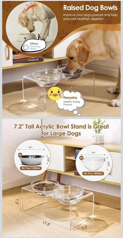 Acrylic Elevated Dog Cat Bowls Pet Feeder