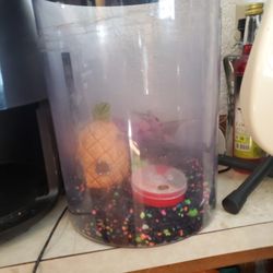 Mini Fish Tank Bundle