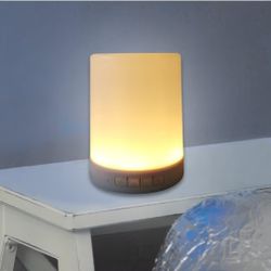 Color Changing Bluetooth Speaker