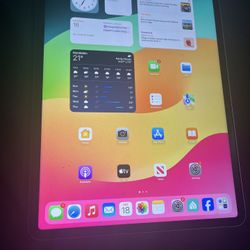 iPad Pro 12.9 6th Gen 256gb Cellular 
