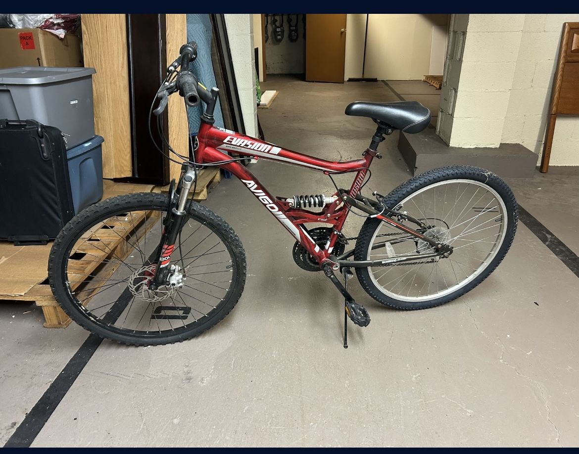 Adult Bike Evasion Avigo