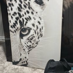 Snow Leopard Canvas 