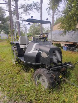 Custom Buggy