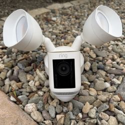 Ring flood Light camera