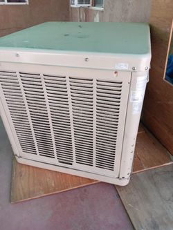 Cooler fan