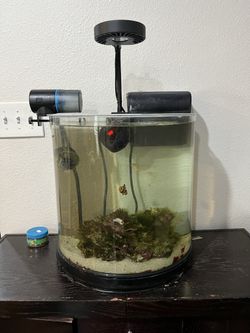 Small Fish Tank Full Set G