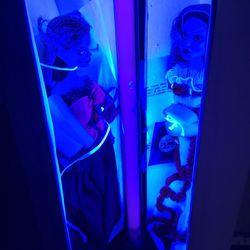 Ellowyne Wilde Dolls