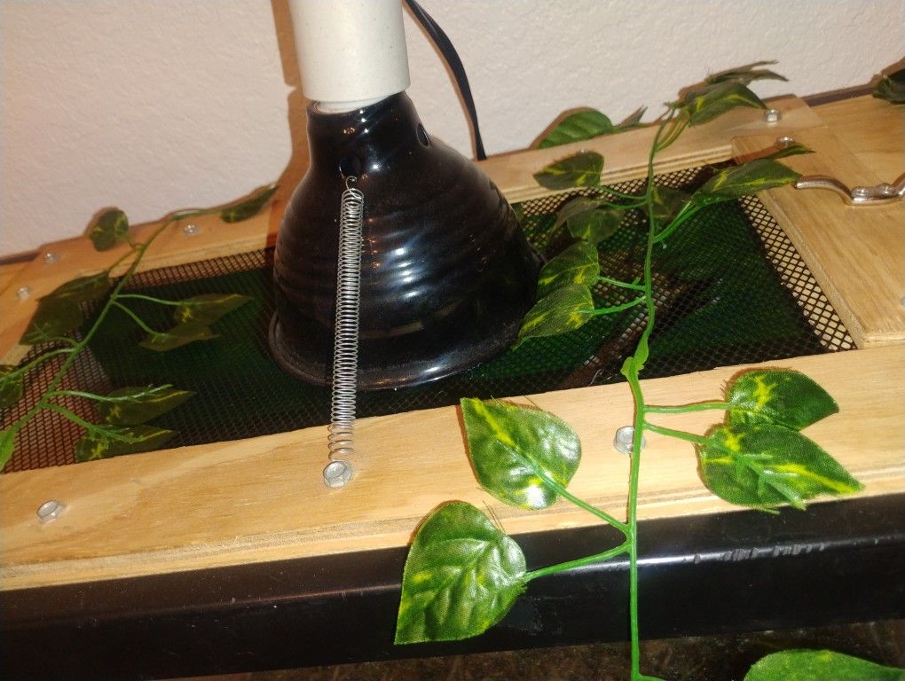 Fish tank prepared for reptiles, it was for some scorpions that I had.