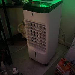 Little Portable Cooler Electric Very Cold 
