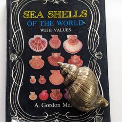 Vintage seashell duo - seashells of the world book with values & brass seashell