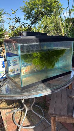 5-6 gallon fish tank filter plants $30