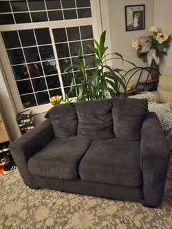 Couch Free Free Free