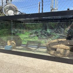 Terrarium w/ Light and Accessories 