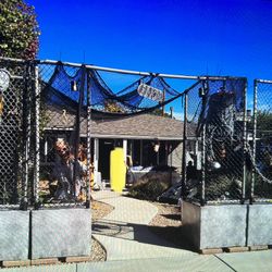 Halloween Entrance And Zombie Cages