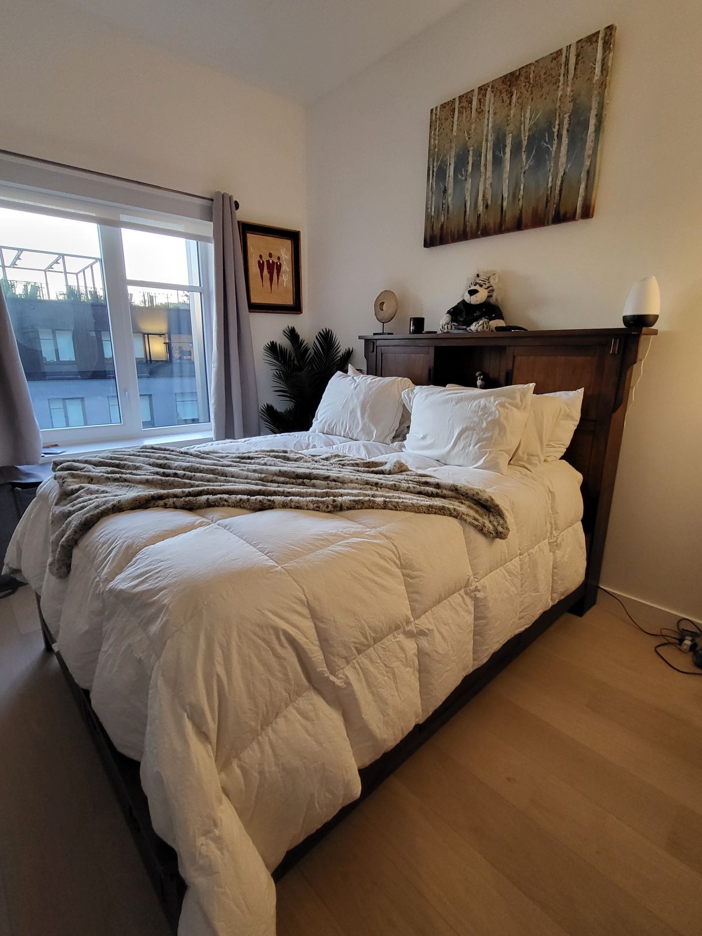 Bookcase/Storage Queen Bed