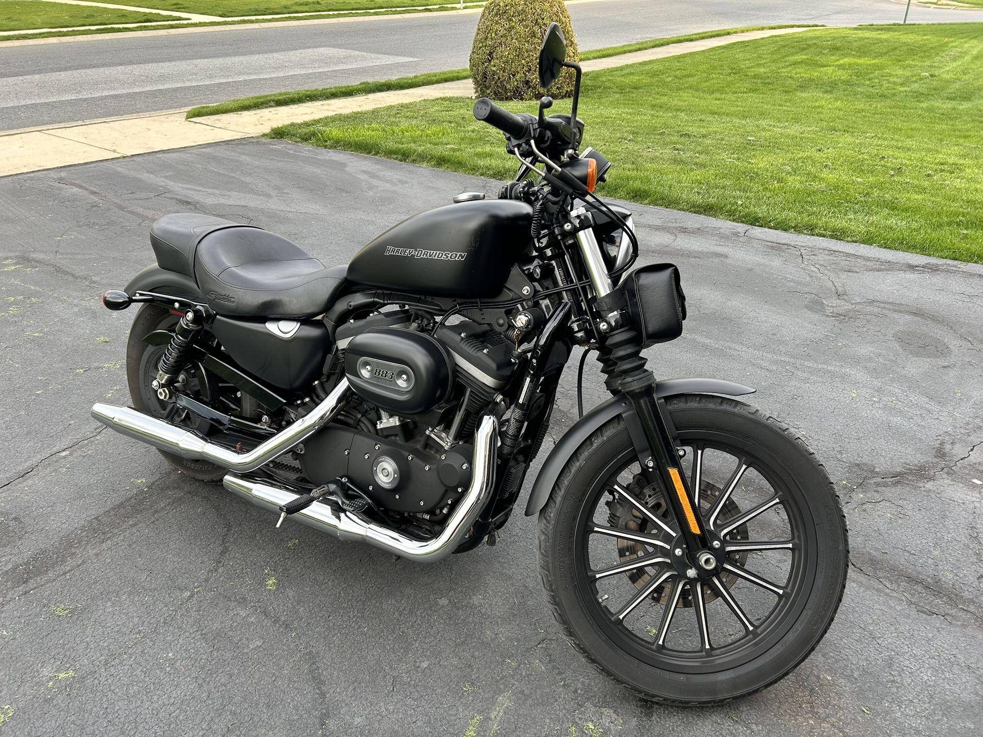 2010 Harley Davidson Iron
