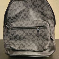 Coach (2736 ) Signature Backpack 