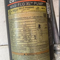 Pool Pump & Filter
