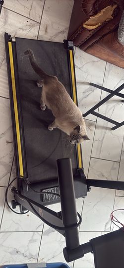 Indoor treadmill