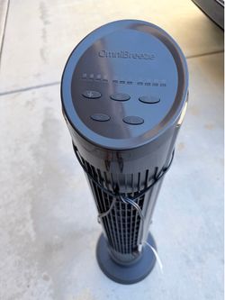 fan