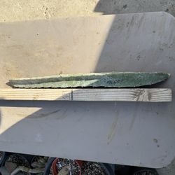 “ TRICIA “ Dragon fruit cutting $20 #TDFC0