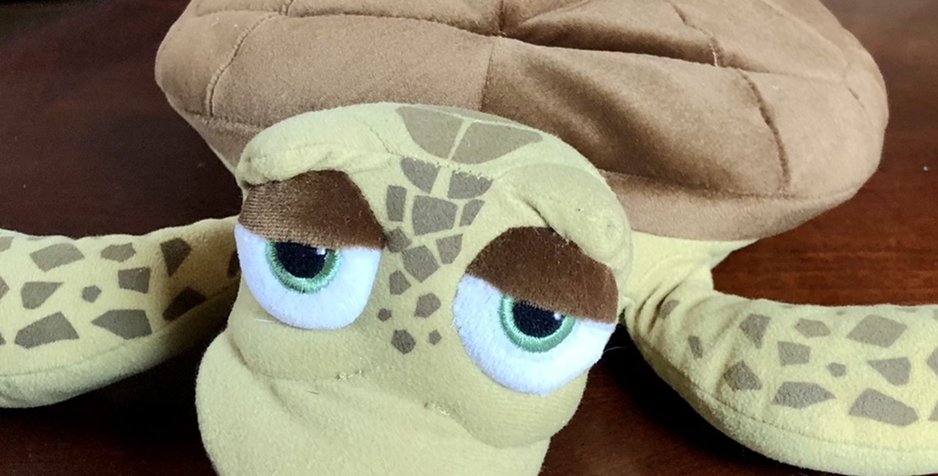 Disney Store Crush Finding Nemo Dory Sea Turtle Plush Stuffed Animal 19" ❤️🐢