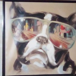 A Pup's City Shades 