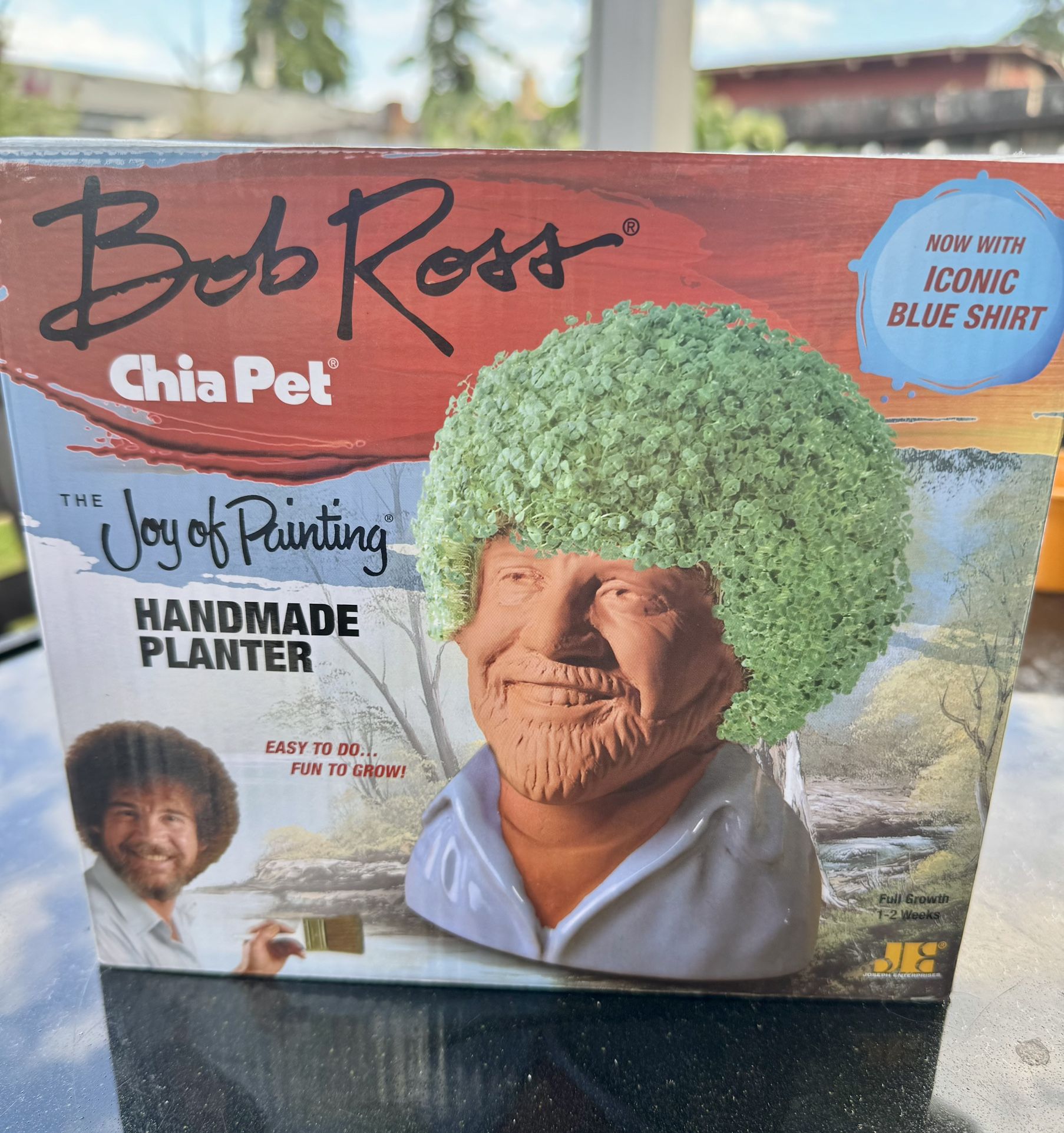 Bob Ross Chia Pet