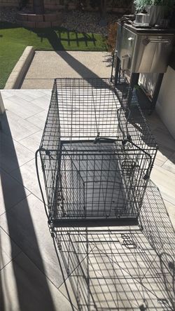 Kennel