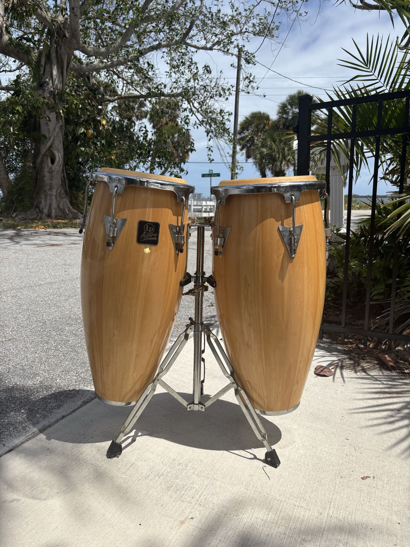 Aspire Conga’s