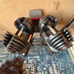 Bowflex 1090 Adjustable Dumbbells With Stand 