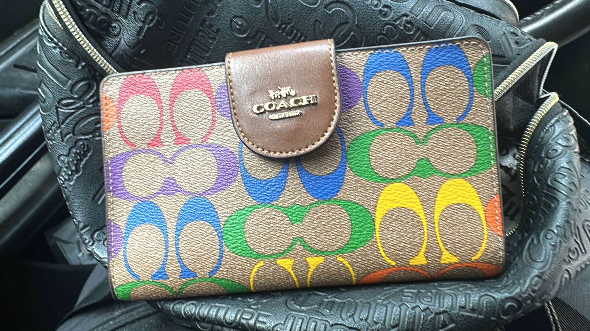 Pride Coach Wallet