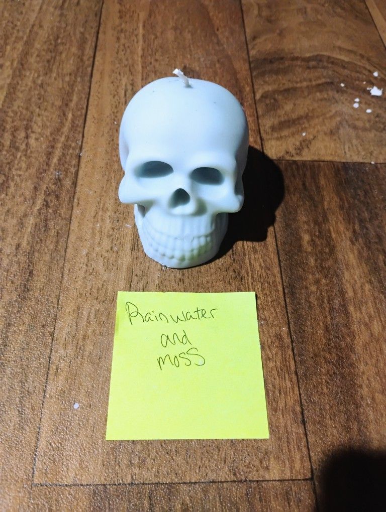 Rainwater And Moss Skull Candle 