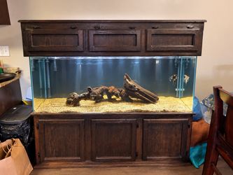 Fish tank