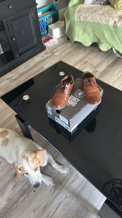 shoes  boys