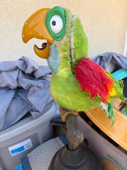 Chuck E. Cheese bird
